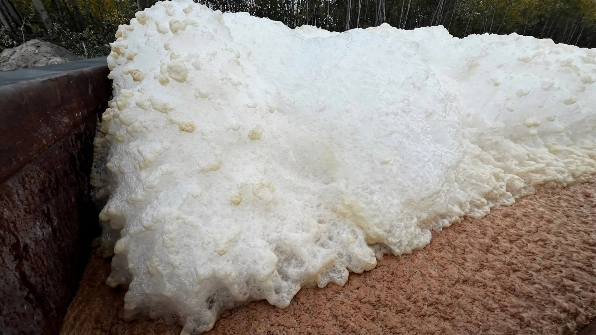 BioLogix foam during active on-site treatment closeup